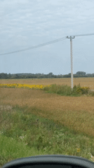 Late-summer fields and a historic village sign near Biysk