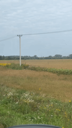 Late-summer fields and a historic village sign near Biysk