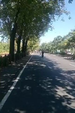 A video taken from a moving vehicle shows a road with trees lining both sides. On the left side of the road, there is a sidewalk and a few people on bicycles. On the right side of the road, there are more trees and some buildings. The sky is blue and clear, suggesting it is a sunny day. The video captures a rural or suburban setting. There are several motorcycles visible in the video, indicating motorized transport is common in the area. The road appears to be paved and in good condition. Sunlight casts shadows from the trees onto the road, creating a dappled effect.