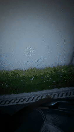 Woman takes nighttime selfies by motorcycle in Indonesia