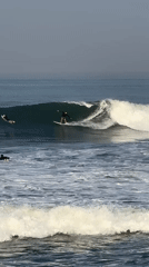 Surfing and shoreside photography at a sunny beach