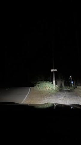 This is a first-person perspective video taken from inside a vehicle at night. The headlights of the vehicle illuminate a dark, rural road. The road appears to be paved and has a white line on the left side. To the right of the road, there is a rough shoulder with vegetation and a dirt path leading further into the darkness. A utility pole with a sign is visible on the right side of the road. Further down the road, another utility pole with a sign is visible, and trees line the right side. The overall environment suggests a remote or wooded area. The video captures the motion of the vehicle moving forward.