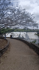Tourist activities and waterfalls documented in Ciudad Guayana, Venezuela