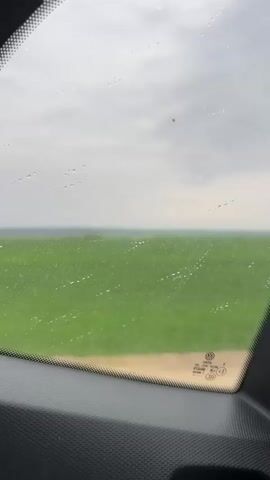 A view from inside a car, looking out the passenger side window. Raindrops are visible on the window. Outside is a bright green field under a cloudy gray sky. The car's dashboard is visible in the lower portion of the frame. A Volkswagen logo and other markings are visible in the corner of the window. There is no visible movement, people, or interactions.