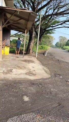 The video depicts a roadside scene in Siring, Indonesia. A man in a blue t-shirt and dark shorts stands near a small, open-sided shelter with a corrugated metal roof. The shelter has yellow and brown elements and appears to be a simple roadside structure. In front of the shelter, there is a concrete area that is cracked and uneven, with dark patches of what looks like dirt or tar.

The ground immediately adjacent to the concrete is rough and covered in loose gravel and dark debris, with tire tracks visible. A large tree with dense foliage provides shade over part of the scene, its branches extending over the road and shelter. Beyond the shelter and tree, a paved road stretches into the distance, lined with greenery and trees on either side. A few vehicles can be seen on the road in the background, suggesting it is an active thoroughfare.

The lighting suggests it is daytime, likely mid-morning or afternoon, with the sun casting shadows. The weather appears to be clear and sunny. The overall atmosphere is one of a rural or semi-rural roadside environment. The man appears to be standing still, possibly resting or waiting. There is no visible text in the media file.