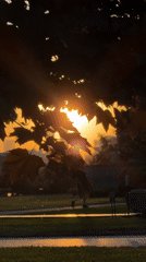 Evening moments captured across Moscow locations in single session