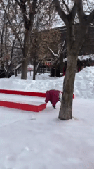 Dressed Dalmatian walks through snowy Moscow park in winter gear