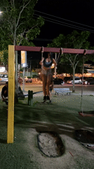 Late night playground activities observed in Búzios park