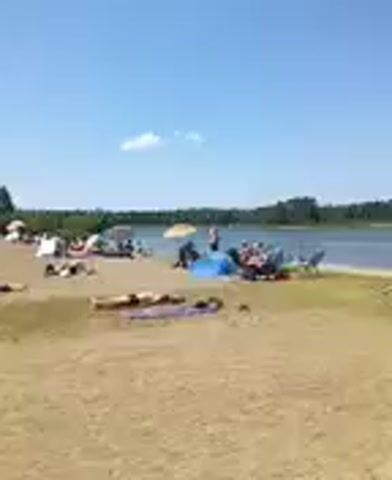 The video shows a busy beach scene on a clear, sunny day. The beach is sandy with patches of grass. There is a body of water, likely a lake or ocean, in the background with trees lining the opposite shore. Several people are visible on the beach, sunbathing on towels and blankets, relaxing in chairs, and gathered under umbrellas and tents. Some people are also in the water, swimming or wading. The overall impression is one of leisure and recreation.