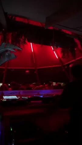 The video shows a DJ booth in a club or venue, likely at night. The view is from behind the DJ, whose back is to the camera. The booth is illuminated with blue lights, and beyond it is a crowd of people. The space above is a dome-like structure with red lighting and hanging foliage. The overall atmosphere is dark, with the red lights adding a vivid, somewhat ominous tone. The DJ appears to be working at the equipment.