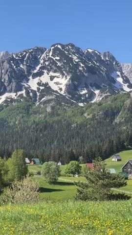 The video shows a serene landscape with snow-capped mountains in the background. A lush green meadow filled with yellow flowers stretches out in the foreground, dotted with various wooden cabins and cottages. A dense forest covers the lower slopes of the mountains. The sky is clear and blue.