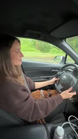 The video captures the interior of a car from a passenger's perspective during what appears to be daytime. A woman with long brown hair, wearing a brown sweater and dark pants, is seated in the driver's seat, holding the steering wheel with her left hand. She is wearing a seatbelt. A small, reddish-brown, curly-haired dog is resting on her lap, secured by a harness and leash.

The woman frequently looks down at the dog, smiling and affectionately stroking it with her right hand. The dog appears calm and content, occasionally looking up at the woman or around the car. Through the car's windows, a blurred green landscape is visible, indicating the vehicle is in motion. The weather outside seems overcast, with what might be rain evident on the side window. The steering wheel prominently displays the Toyota logo. The scene conveys a warm and affectionate interaction between the driver and her canine companion during a car journey.