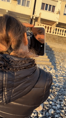Family moments captured in Sochi: mother, baby, child at beach