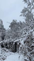 Heavy snow blankets Cheboksary Russia in early morning