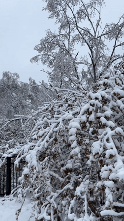 Heavy snow blankets Cheboksary Russia in early morning