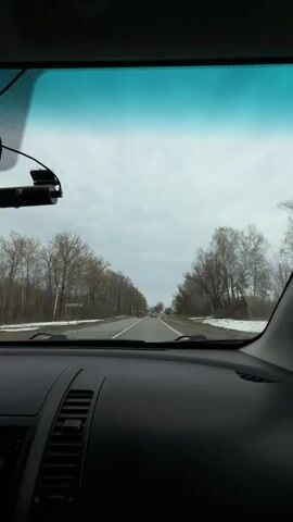 The video provides a first-person view from inside a car driving on a two-lane road in Rogachovo, Russia. The car's black dashboard, rearview mirror, and a dash cam mounted on the windshield are visible. The top portion of the windshield has a blue-green tint.

Outside the vehicle, the road appears wet in places, possibly from rain or melting snow. The road is flanked by bare deciduous trees on both sides, with some patches of snow or bare ground visible under the trees, indicating either late autumn or early spring. The sky is overcast and grey. Other vehicles can be seen in the distance, both ahead and approaching. Music with singing is audible throughout the video. No visible text is discernible in the frames.