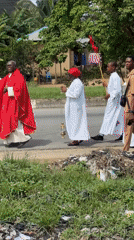 Palm Sunday procession draws crowds in Uyo, Nigeria