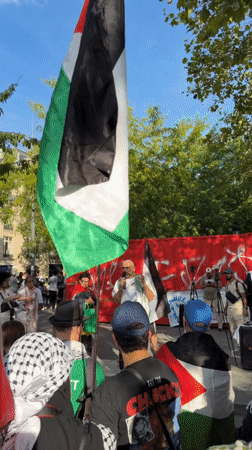 Protest, music, and street life across a Paris afternoon