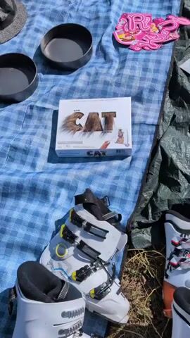 A bird's-eye view of a blue and white checkered blanket laid out on the ground. Scattered across the blanket are various items, including a gray hat, two black bowls, a pink and blue cat-shaped object, a boxed board game titled "THE CAT GAME" with a drawing of a cat wearing a hat, and a pair of white and black ski boots. To the right, a dark green tarp is partially visible. The ground appears to be covered in dry grass and dirt. Sunlight casts shadows across the scene.
