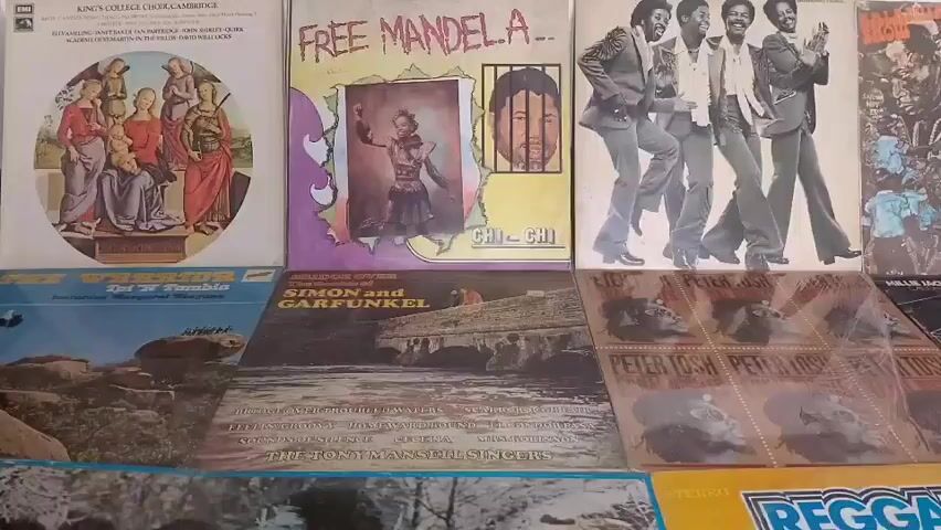 The video displays a collection of vinyl records arranged on a white surface. The records are positioned in two rows, with the top row showing the album covers of "Free Mandela," an album with a painting of people, an album featuring four men in suits, and another album with a dark, abstract image. The bottom row showcases album covers including "The Warrior," "Simon and Garfunkel," an album with multiple images of a man's face titled "Peter Tosh," and an album featuring a spiderweb. Partially visible at the bottom is a yellow album cover with "REGGAE GREAT HITS VOLUME 2" printed on it. The lighting is even, suggesting an indoor setting.