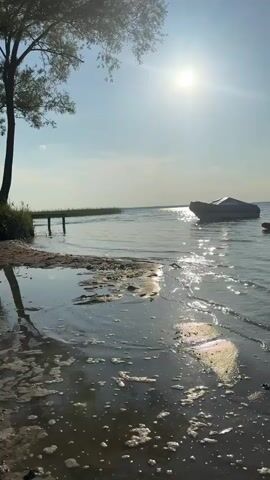 This is a video of a body of water, likely a lake or ocean, with a sandy shore in the foreground. The sun is shining brightly in the sky, casting reflections on the water. There is a tree on the left side of the frame, its branches reaching out towards the water. In the distance, there is a small boat, possibly an inflatable dinghy, anchored in the water. Further to the right, there are several kayaks or paddleboards floating on the surface. The water appears calm, with small waves lapping at the shore. There is some foam and debris on the sand near the water's edge. The overall atmosphere is peaceful and serene, suggesting a quiet summer day.