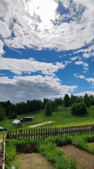 Morning domestic life documented in rural Russian household