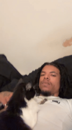 Black and white cat takes over chest, Massy apartment