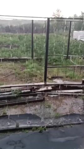 The video shows a heavy rain shower falling on an outdoor area. In the foreground, there is a dark, covered surface, possibly black plastic sheeting, with some green vegetation visible at the bottom edge. Behind this, there are several wooden planks and pipes lying on the wet ground. A cylindrical wooden stump is visible to the right of the planks. In the middle ground, there is a fenced-off area with a metal frame, overgrown with green plants. The fence is a dark color, possibly black metal. Further in the background, there are more green plants and trees. White containers and a white fence are visible in the distance. The sky appears overcast, contributing to the gloomy atmosphere. The rain is visible as streaks falling through the air and hitting the ground, creating puddles and splashing.