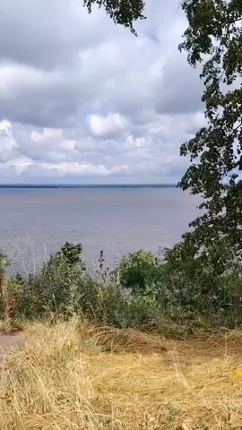 The video shows a view of a large body of water, likely a lake or river, under a cloudy sky. The foreground consists of dry, golden grass and some green foliage. Trees with green leaves frame the top and right sides of the shot. The water appears calm, and the horizon is visible in the distance. The perspective suggests the viewpoint is from an elevated position, looking down towards the water. There are no people or identifiable objects visible in the video. The overall atmosphere is natural and serene.