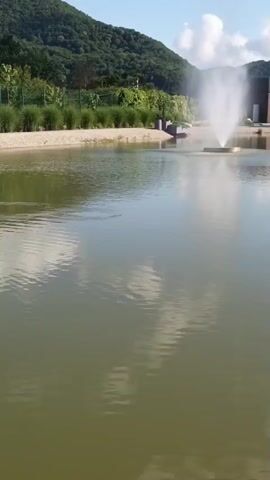 A wide shot of a tranquil pond with a fountain spraying water in the background. The pond's surface reflects the sky and clouds. In the distance, a lush green hillside rises, dotted with trees and some buildings. The foreground shows the water, with ripples disturbing the reflection. A stone embankment lines the edge of the pond, with green grass and some bushes growing along it.