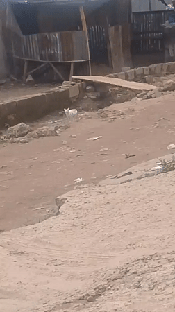 Everyday life on the dirt roads of Kurunduma, Nigeria
