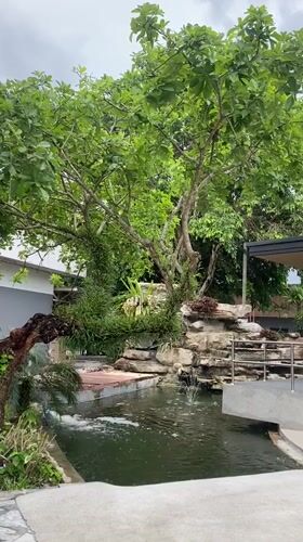 Morning scenes captured at Café Amazon in Ban Ko Pru