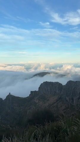 The video shows a mountainous landscape under a blue sky with wispy clouds.  A thick layer of clouds is visible below the mountain peaks. The camera pans from left to right, showing a rocky ridge covered in vegetation. The foreground has tall grasses and shrubs.