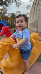 Playground afternoon in Sharm El Sheikh with kittens roaming nearby