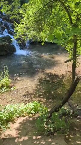 The video shows a slow panning shot of a natural outdoor scene. A shallow, clear stream flows gently through the frame. Sunlight filters through lush green trees, casting dappled shadows on the water and the sandy riverbed. On the right side of the screen, a small, weathered wooden tree stump with a rope swing attached to it is visible. The swing hangs unused in the peaceful setting. The overall atmosphere is serene and natural.