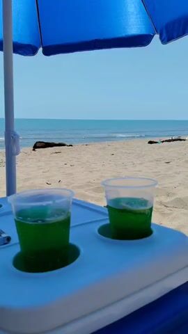 The video shows a beach scene with two cups of green liquid, possibly drinks, resting in a white cooler with blue accents. A blue beach umbrella shades the cooler and drinks. The ocean is visible in the background, with a clear blue sky overhead. The sand is light brown. A small black object, possibly a lighter, is also visible on the cooler. The camera is positioned at eye level, looking towards the ocean.