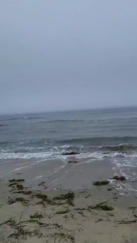The video shows a view of a beach on a cloudy day. The waves are gently rolling in towards the sandy shore, where there is a scattering of seaweed and some dark rocks. The ocean stretches out to the horizon, which is obscured by fog or mist. In the distance, along the coastline, there are some hills and a few buildings can be seen on the top of the hills. The overall atmosphere is somber and peaceful.