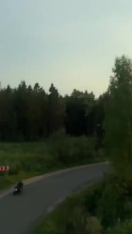 The video captures a scenic view of a forest bordering a grassy field with a body of water. A motorcycle is seen riding on a curved road on the right side of the frame. Traffic signs indicating a sharp curve are visible. The sky is overcast and appears to be late afternoon or early evening. The overall atmosphere is tranquil and natural.