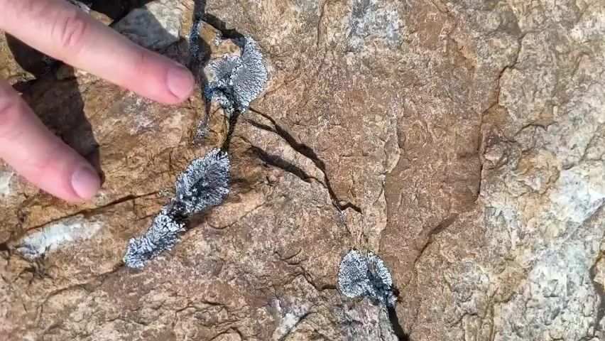 The video begins with a close-up of a person's finger touching a textured rock with patches of pale grey lichen. The camera then pans out and rotates to reveal a rocky cliffside covered in vegetation, with a dense forest and a distant body of water visible in the background. The scene appears to be an outdoor natural environment, likely a mountainous or hilly region, under bright sunlight.