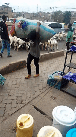 Morning street life documented across Nairobi neighborhoods