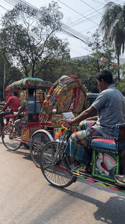Ornate rickshaws navigate sunny Dhaka streets during morning commute