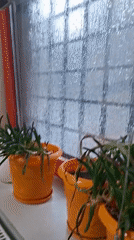 Heavy rain streams down windows in Pleven, Bulgaria