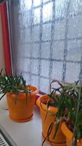 Heavy rain streams down windows in Pleven, Bulgaria