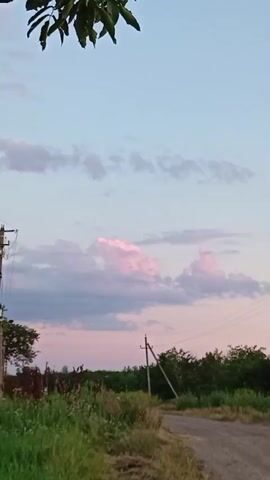 A vertical video captures a rural landscape at dusk. The sky transitions from a pale blue at the top to hues of pink and purple near the horizon, with scattered clouds tinged pink. In the foreground, to the left, is tall green grass and vegetation. A dirt road curves through the scene, leading towards the right. Utility poles with wires are visible along the left and right sides of the road. Dense green trees line the horizon behind the grass and road. A branch with green leaves hangs from the top left corner of the frame. There are no people or animals visible in the video. The overall atmosphere is serene and peaceful.