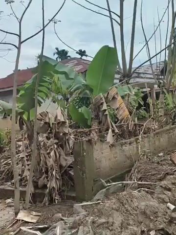 The video shows a flooded residential area in a tropical environment. Muddy water covers the ground, and debris is scattered throughout.  A house is visible, surrounded by palm trees and other vegetation. A mattress sits outside on the ground, and a red hose snakes through the water. The camera appears to be moving through the area on a vehicle. The sky is overcast.