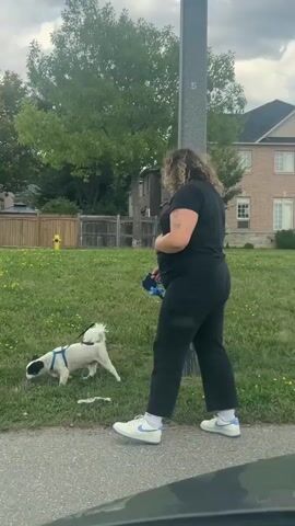 A person is walking a small white dog on a leash through a grassy area next to a sidewalk. The person is wearing a black t-shirt, black pants, and white sneakers. The dog is wearing a blue and white harness. In the background, there is a large brick house with a dark roof, trees, and a wooden fence. The sky is overcast.