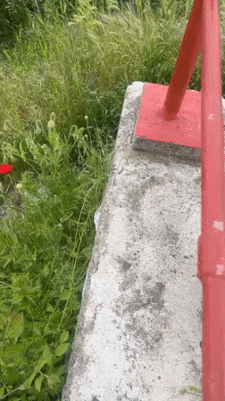 Hilltop poppy and panoramic view captured in Asenovgrad, Bulgaria