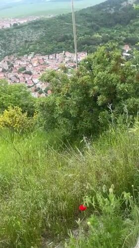 Hilltop poppy and panoramic view captured in Asenovgrad, Bulgaria