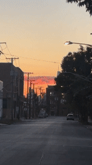Chicago street at golden hour, shot from a moving vehicle