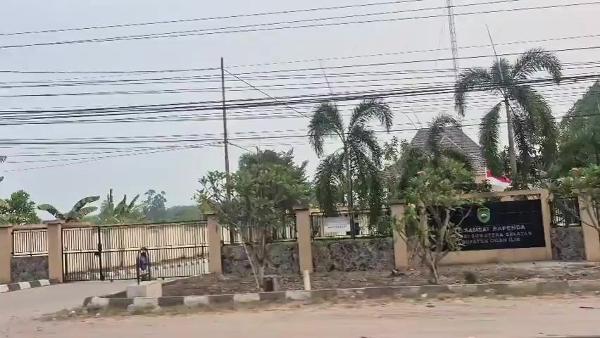 The video begins by showing a gated entrance to a property with a fence, palm trees, and banana trees. The camera then pans to the right, revealing a roadside scene with numerous banana trees and vegetation. The sky is overcast. The footage continues to pan right, showing more banana trees and foliage along the side of the road. A portion of a dark-colored vehicle is visible in the lower left corner of the frame. The video then shows a close-up of banana plants and other greenery. Throughout the video, a dense network of overhead power lines is visible against the sky.